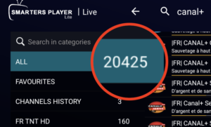 QHDTV IPTV SHOP Fuego premium IPTV 12 mois pour tous vos appareils Fuego premium IPTV 12 mois pour tous vos appareils